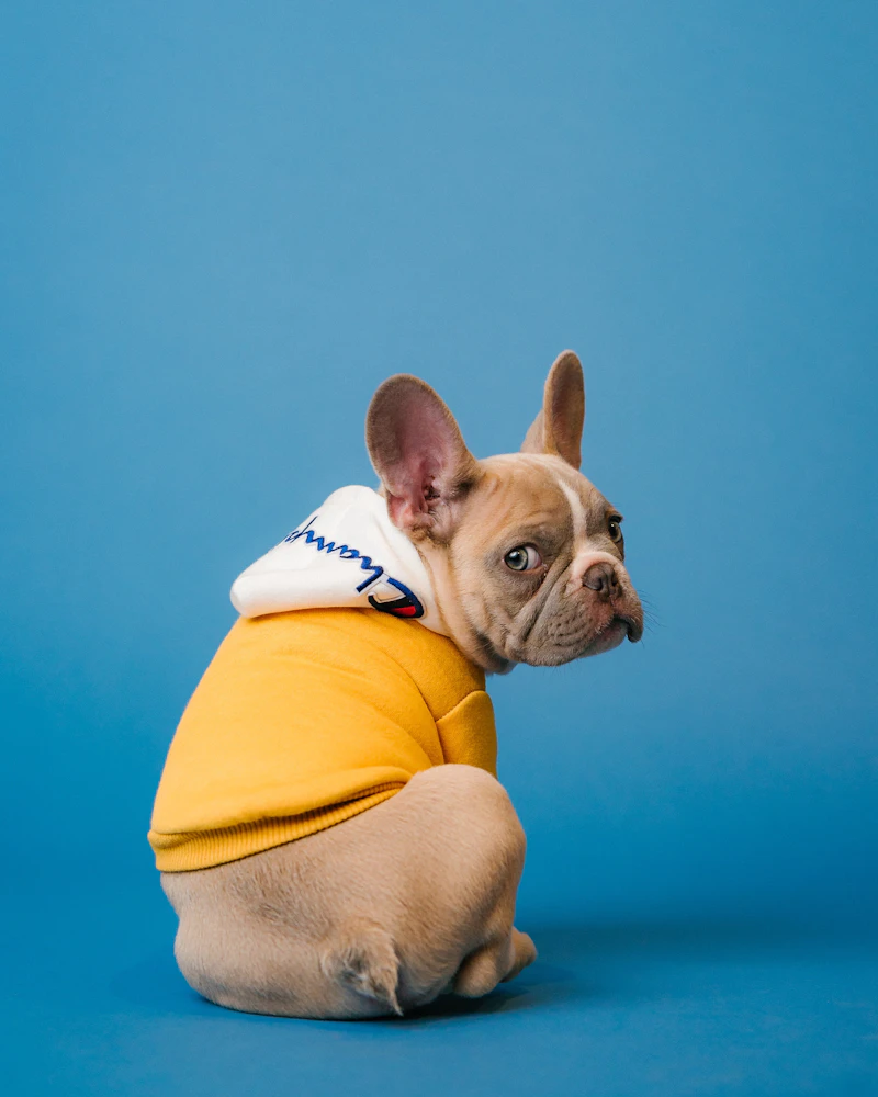 Alimento Premium para mascotas